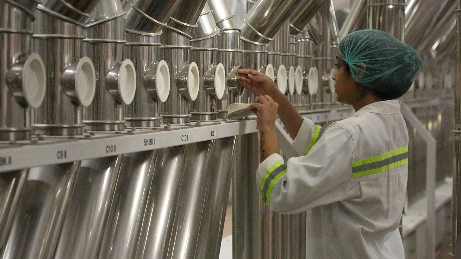 Bird control at a Premier FMCG milling and food production site, by BCS Bird Control Services