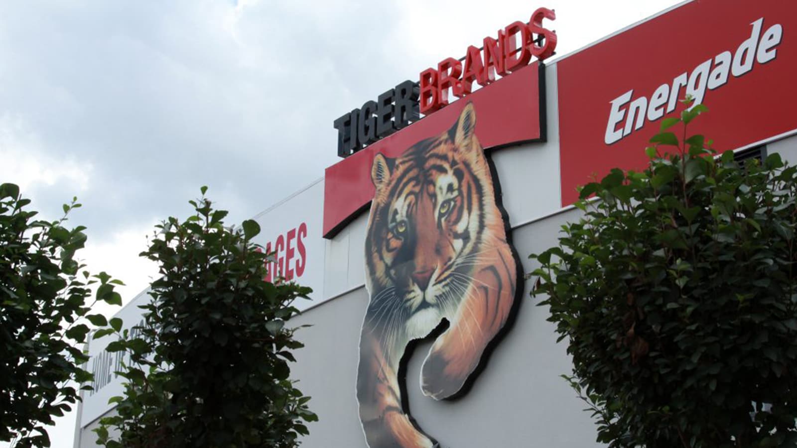 Bird proofing at a Tiger Brands snacks and treats production plant, by BCS Bird Control Services