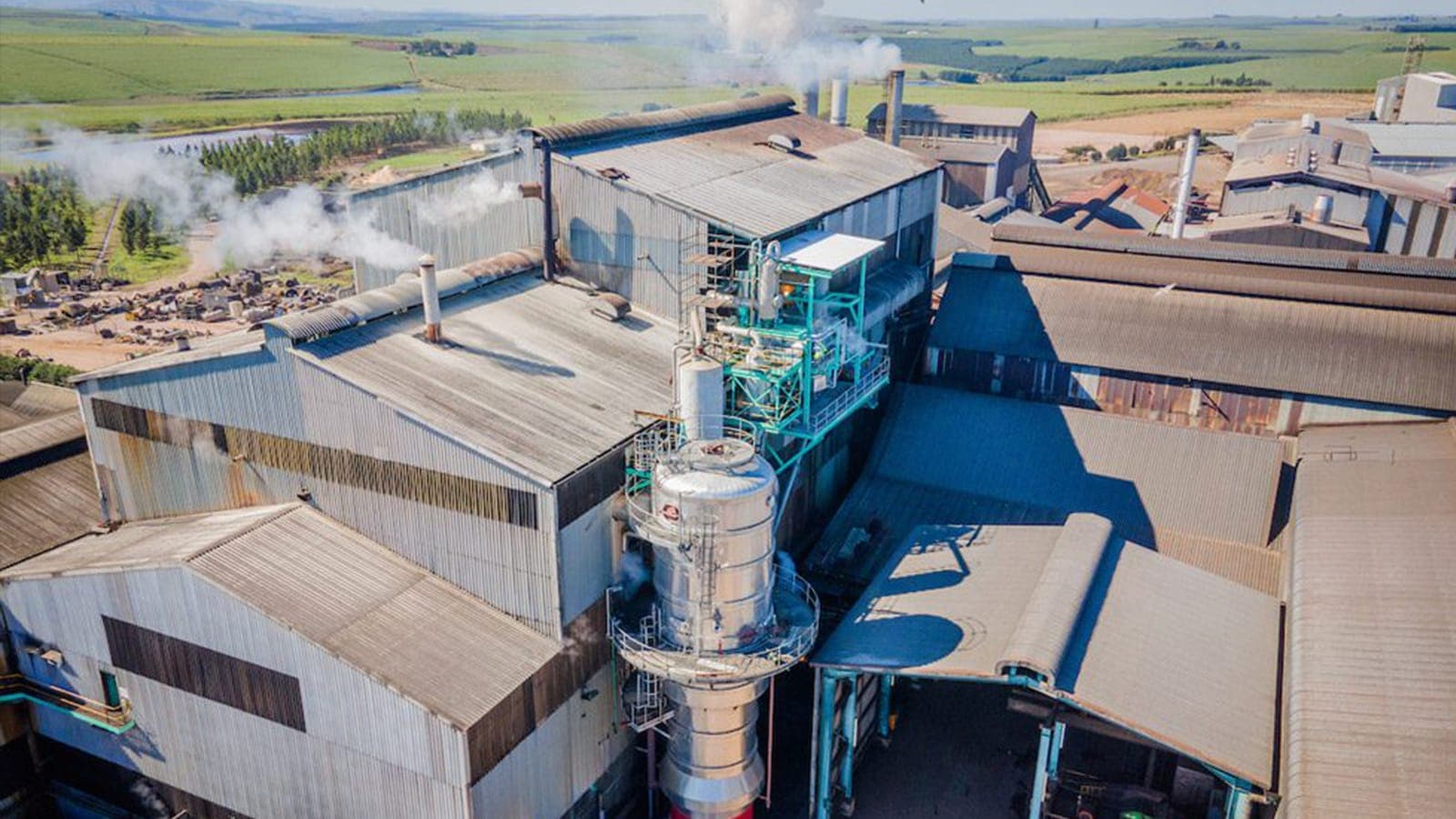 Bird control at the UCL Company sugar mill in Dalton, by BCS Bird Control Services