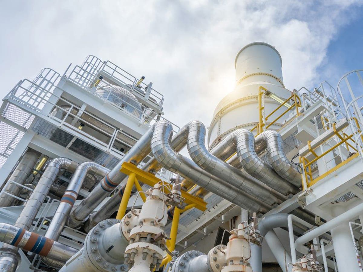 BCS bird control across a petrochemical plant tank farm, pipework and process structures